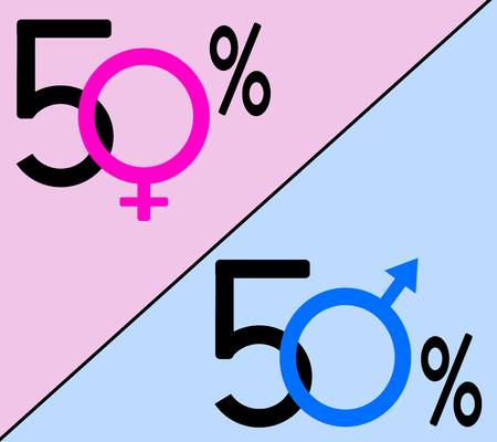 Women quotas system: 50% and 50%のイラスト素材
