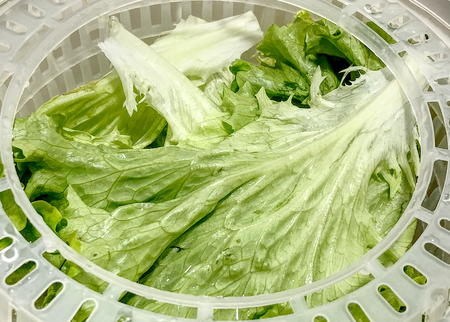 Close up of some green leaves Lettuce in a plastic tool to be dry. HDR effect.の写真素材