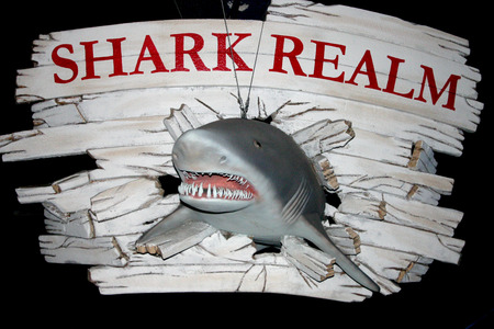 New Jersey and Philadelphia, Oceanarium, Kembdone - Shark Labelの写真素材