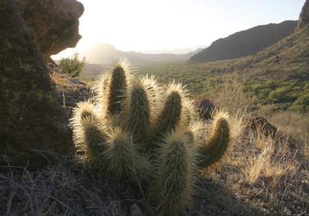 A garbage dump on the shore of the estuary, pollution of the environment, an environmental proの写真素材