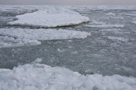 Frozen sea in the Gulf of Odessa, floating ice floe