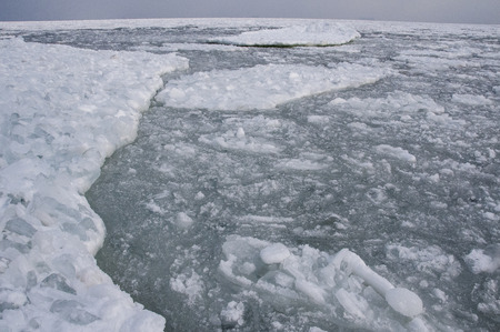 Frozen sea in the Gulf of Odessa, floating ice floeの写真素材