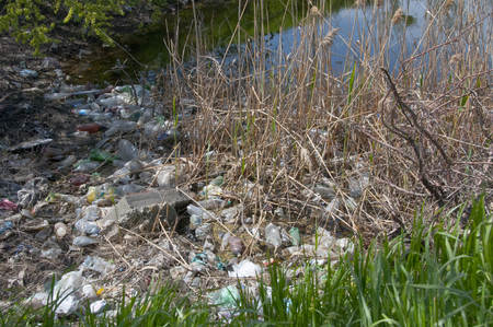 Plastic garbage on the shore in Hadzhibeysky estuary. Eutrophication of the reservoir, the problem of ecologyの写真素材