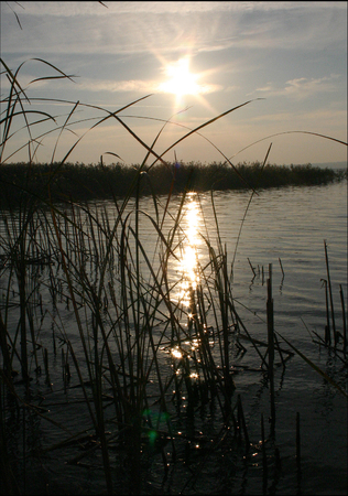Beautiful sun glare on the water in the lake Yalpug, Ukraineの写真素材
