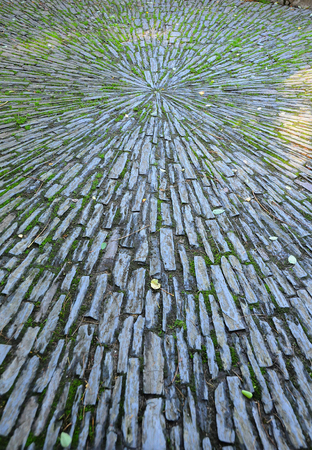 Low angle park path landscape backgroundの写真素材