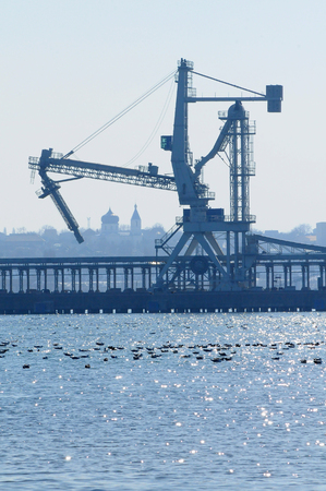 Ukraine, Chernomorsk - 2018, March 03: wintering waterfowl in the Black Sea against the backdrop of port cranesのeditorial素材