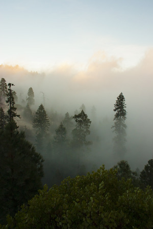 In the clouds on top of the mountain. The Sierra Nevada is a mountain range in the Western United States.の写真素材