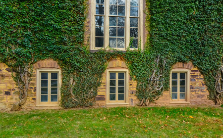 PRINCETON, NJ USA - NOVENBER 12, 2019: creeping plants, ivy on the walls of educational buildings at Princeton University. Plants in landscape design. Princeton, NJのeditorial素材