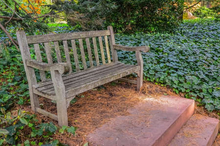 PRINCETON, NJ USA - NOVENBER 12, 2019: Princeton University park wooden bench, garden designのeditorial素材