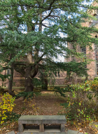 PRINCETON, NJ USA - NOVENBER 12, 2019: Ivy League College Building, Princeton University, NJ USAのeditorial素材