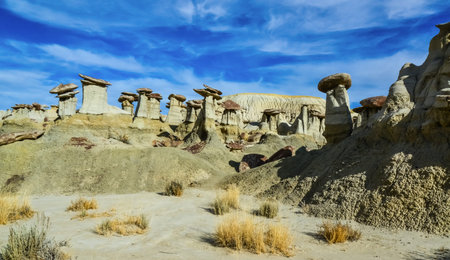 Weird sandstone formations created by erosion at Ah-Shi-Sle-Pah Wilderness Study Area in San Juan...