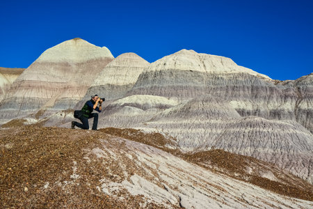 USA, ARIZONA- NOVEMBER 18, 2019: The Painted Desert on a sunny day. Diverse sedimentary rocks and clay washed out by water. Petrified Forest National Park, USA, Arizonaのeditorial素材