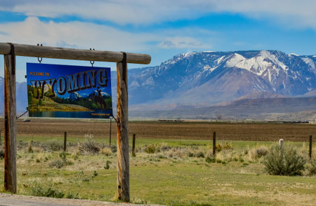 Information sign "Montana" on the background of coniferous trees. Montanaのeditorial素材