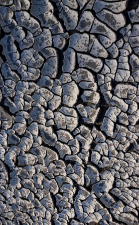 A pattern on dried silt. Dry land in the desert, Utah USA