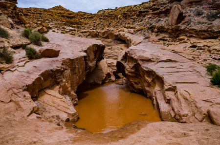 Stone pool with water among the rocks in Little Wild Horse Canyon. San Rafael Swell, Utah USA