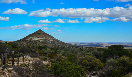 Dry tree, cacti and other desert plants on a cone-shaped landscape in Guadalupe National Park, New Mexicoの写真素材