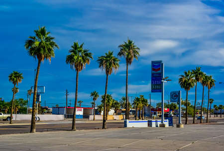 USA, ARIZONA - NOVEMBER 24, 2019: beautiful big palm trees grow along the road, Arizonaのeditorial素材