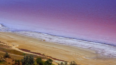 Kuyalnik estuary, Black Sea. Rose water in the estuary, salt water from Artemia and Dunaliellaの写真素材
