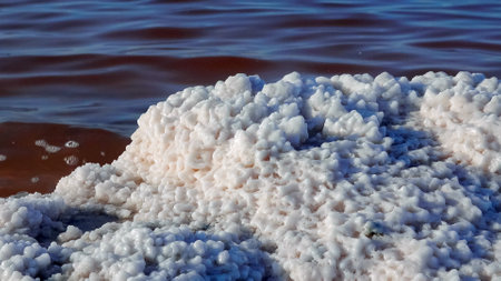 Kuyalnik estuary, Black Sea. Self-precipitating salt at the bottom and bank of the estuary. table salt crystalsの写真素材