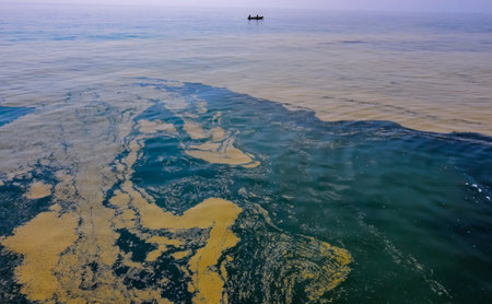 (Nodularia spumigena), ecological disaster, a toxic blue-green algae bloom in the Black Seaの写真素材