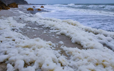 Eutrophication of the sea, Dirty foam on the Black Sea during a storm near the city of Odessaの写真素材