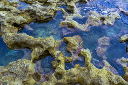Stone coastal area of the island of Malta, lakes of water in the intertidal zone at the water's edgeの写真素材