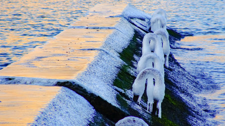 View of the icy pier on the beach in Arcadia in winter, Odessa, Ukraineの写真素材