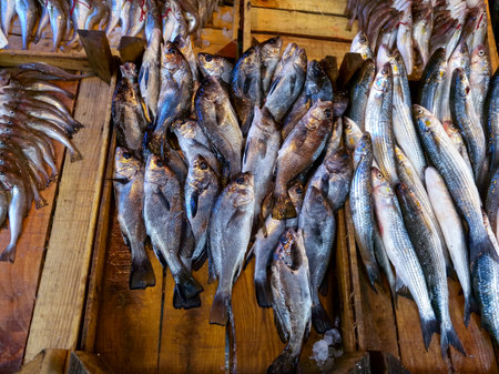 Sale of fish from the Black and Mediterranean Sea at the fish market in Trabzon, TÃ¼rkiyeの写真素材