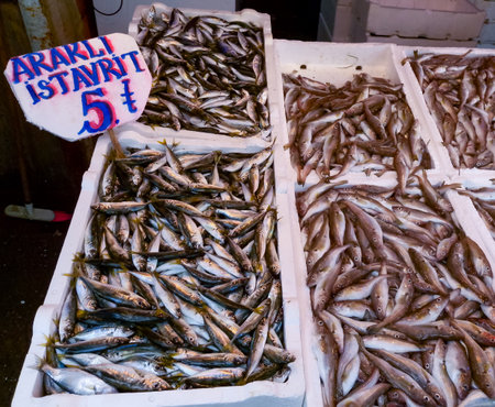 Sale of fish from the Black and Mediterranean Sea at the fish market in Trabzon, TÃ¼rkiyeの写真素材