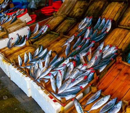 Sale of fish from the Black and Mediterranean Sea at the fish market in Trabzon, TÃ¼rkiyeの写真素材