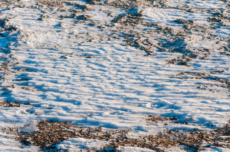 Weathered ice and frozen snow in the form of needle crystals on the bank of the Tiligul Estuary on a sunny day, Ukraineの写真素材