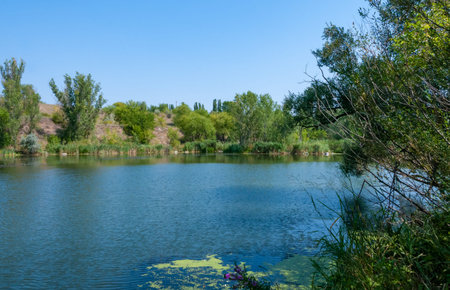The bed of a slowly flowing river among granite banks overgrown with picturesque vegetation, Ukraineの写真素材