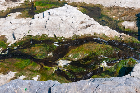 Filamentous algae in water flowing over granite rocksの写真素材