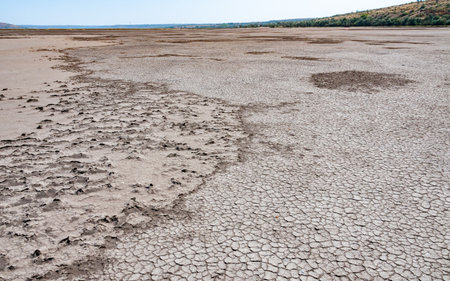 Dry cracked salty silt in the upper Kuyalnik estuary, Ukraineの写真素材