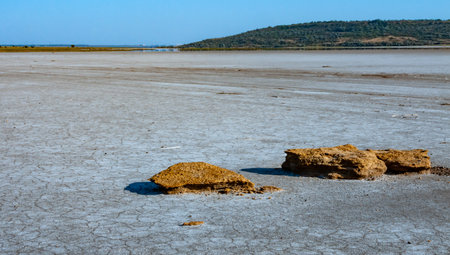 Shell stones in the valley of the drying up hyperhaline Kuyalnik estuary, Odessa regionの写真素材