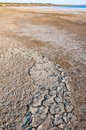 A dried and cracked layer of dead crustaceans Artemia salina, their eggs and debris on the bank of the Kuyalnik estuary, Odessa region, Ukraineの写真素材