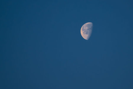 Bright moon against the dark night sky