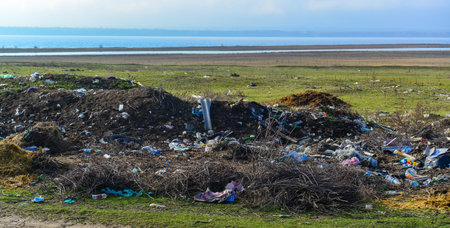 KOBLEVO, UKRAINE - JANUARY 16, 2020: Illegal spontaneous garbage dump, wildlife pollution,...