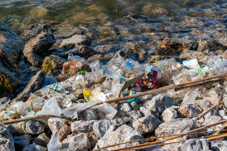 Plastic garbage and microplastics on the shore of Khadzhibey Estuary, environmental problem of the...