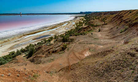 Salty Kuyalnik estuary with flowering water, Artemia salina and Dunaliella salina in the water. Self-settling salt sodium chloride at the bottom Hypersaline water in a drying lake â Ukraineの写真素材