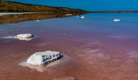 Salt Lake. Self-settling sodium chloride salt on rocks near the shore. Hypersaline water in a drying...