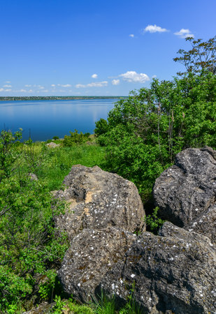 Natural spring landscape of green steppe on the shore of the Khadzhibey estuary, southern Ukraineの写真素材
