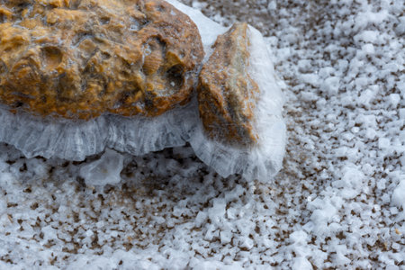 Crystals of self-precipitating common salt (sodium chloride) crystallized at the bottom of the drying Kuyalnik Estuary, Ukraineの写真素材