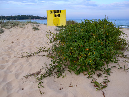 BULGARIA, SOZOPOL - AUGUST 26, 2014: sign Protection of sand dunes on the beach near Sozopol, Bulgariaのeditorial素材