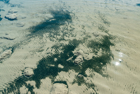 The bottom of the drying dead sea (Kuyalnik estuary, Odea region), waves on the sand and dead sediment from algae and crustaceans Artemia, Ukraineの写真素材