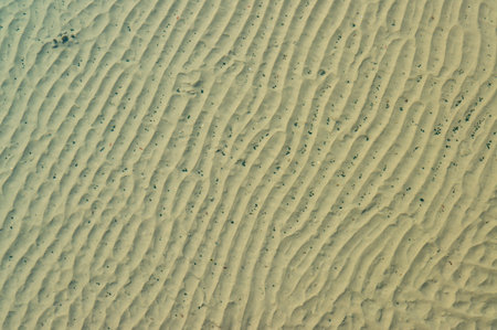 The bottom of the drying dead sea (Kuyalnik estuary, Odea region), waves on the sand and dead sediment from algae and crustaceans Artemia, Ukraineの写真素材