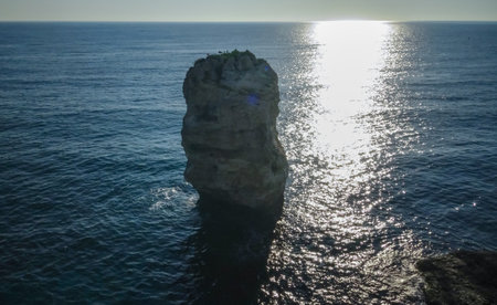 Red poppies bloom on coastal rocks near the village of Tyulenovo, Black Sea, Bulgariaの写真素材