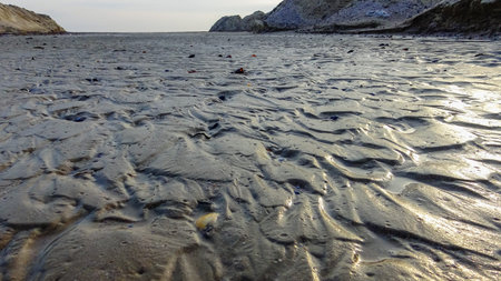 Waves on a muddy bottom in a sea channel at low tide, Ukraine