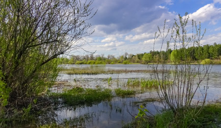 Reflection of clouds in the Pripyat River, the tribute of the Dnieper River, Ukraineの写真素材