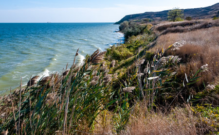Natural landscape, colorful shore of the Dnieper-Bug estuary in the area of the ancient city of Olbia, Ukraineの写真素材
